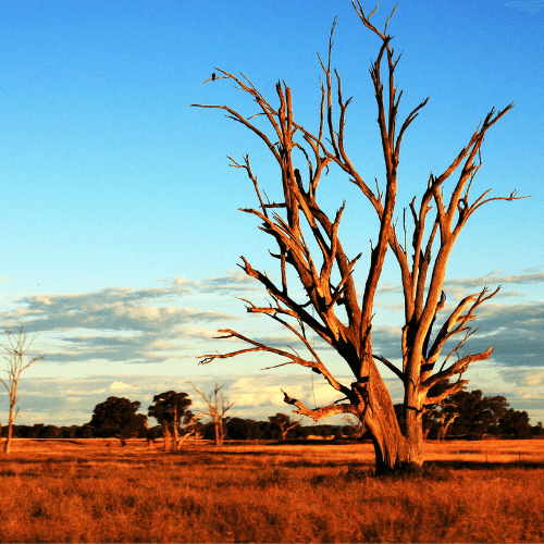 AUSTRALIAN OUTBACK - Oud Luxury Collection Australia